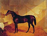 John Frederick Herring Snr Mr Johnstone's Charles XII in a Stable painting